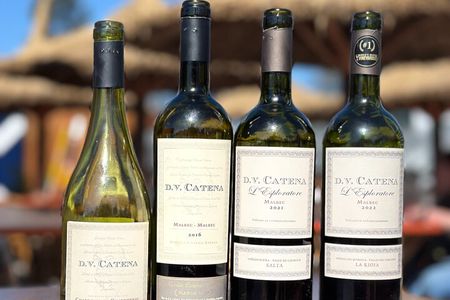 Wine & music experience by D.V. Catena con tabla de fiambres