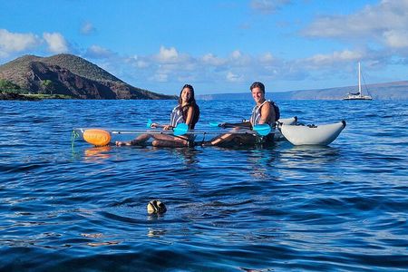 Turtle Town Clear Kayak and Snorkel Tour (7am-9:30am)