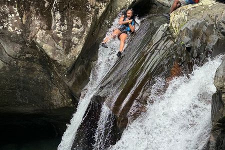 The Best El Yunque Adventure - Transport Included 
