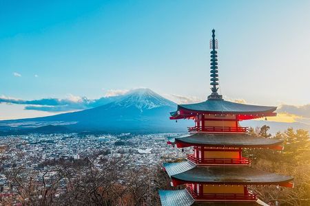 English-speaking Guided Tour:Mount Fuji & Hakone, Private Vehicle