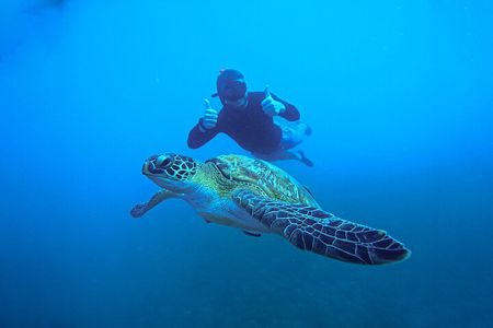 Snorkelling Trip 5 Island Tour Around Koh Tao and Koh Nang yuan