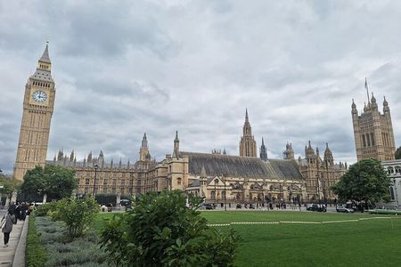 2 Hour Walking Tour from Buckingham Palace to Big Ben 