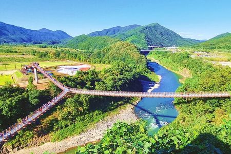 DMZ 2nd tunnel and Y Shaped Suspension Bridge Tour from Seoul