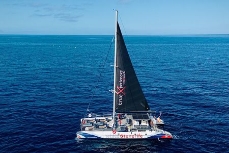 Whale Watching and Listening Eco Catamaran Tour with Food Tasting 