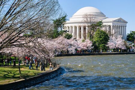 Niagara Falls, Toronto, Philadelphia, DC 5-Day Tour from NYC