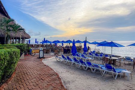 Money Bar All Inclusive Experience with Transportation