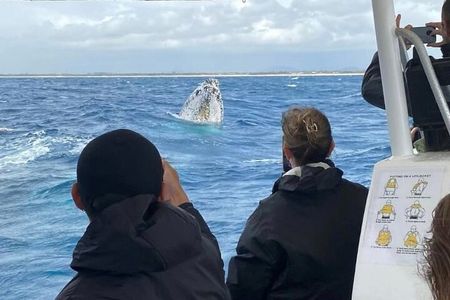 Mooloolaba Whale Watching – Small Group Tour