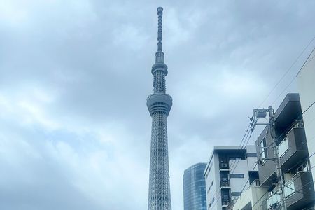 English-speaking guided day tour of Tokyo with a private vehicle