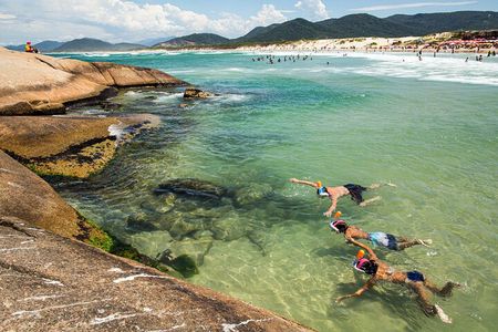 Discover Florianópolis: Full Day City Tour and Local Highlights