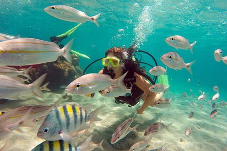 Discover Underwater Beauty: Explore Maracajaú's Parrachos Reef