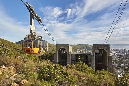  Exploration of Wonders Cape Town Nature City and Wine in 3 Days