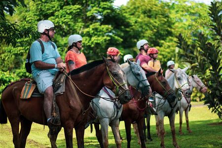 Horseback Riding and Waterfall in Jacó