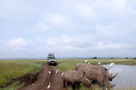 National Park Half-Day Group Tour in Nairobi with Pickup