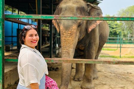 4-Day Golden Triangle Tour with Elephant SOS and Tiger Safari