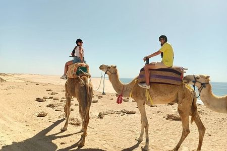 Dakhla Camel Ride Experience