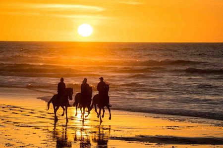Essaouira Horse ride & Pick up 