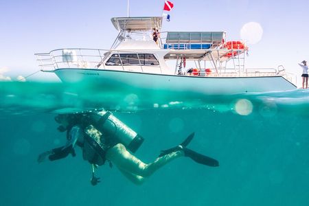 Scuba Diving for Non-Certified in Vieques Island 