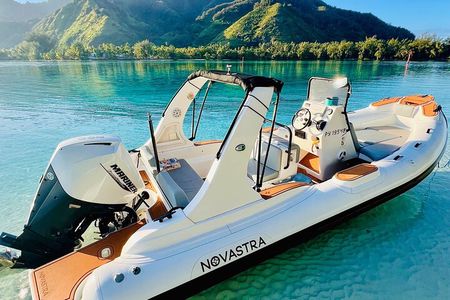 Moorea: Private 4-Hour High-End Boat Excursion