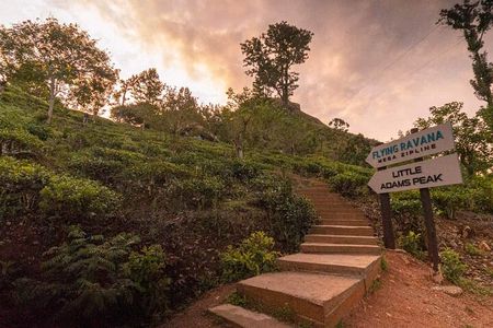 3 Nights 4 Days Private Sri Lanka Safari Tour with Star Hotel