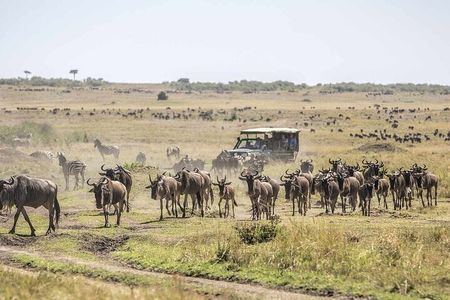 4 Day Safari Maasai Mara, Lake Nakuru and Lake Naivasha