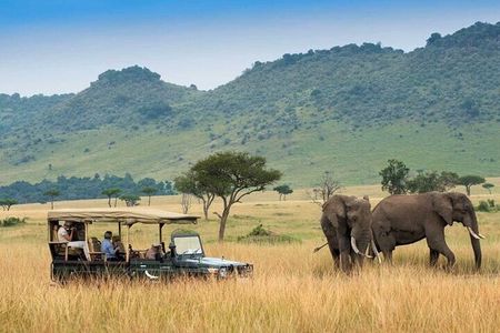 4day Maasai Mara, Lake Nakuru, and Lake Naivasha