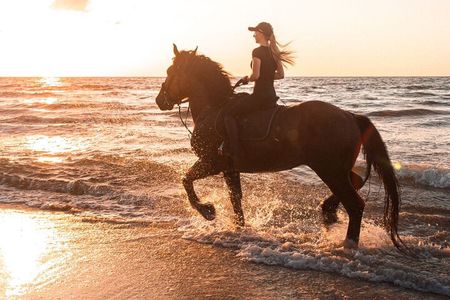 Beach Horse Riding Dubai with Transfers