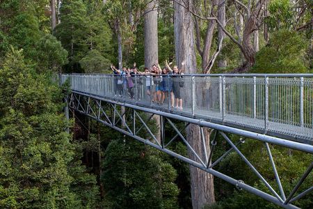 Hobart: Tahune Airwalk, Hastings Caves & Thermal Springs Pool
