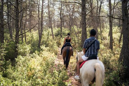 Horseback riding and wine tour (private tour)