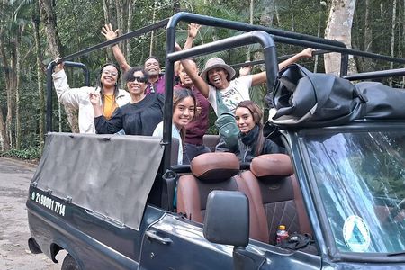 4x4 Tijuca National Park Rio de janeiro 