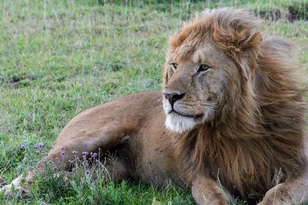 6 Days Tanzania Big Five Safari 