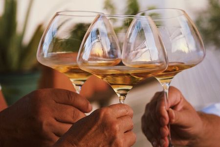 Gastronomic Wine Tasting Experience Guided by a Sommelier