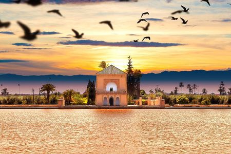 Private Marrakech Excursion from Casablanca with Free Camel Ride