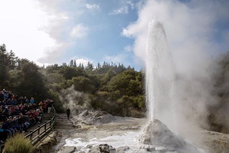 Half-Day Tour - Ex Rotorua: WAI-O-TAPU Thermal Wonderland