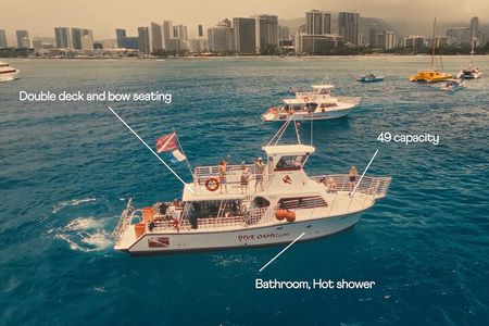 Turtle Canyon Waikiki Snorkel Adventure