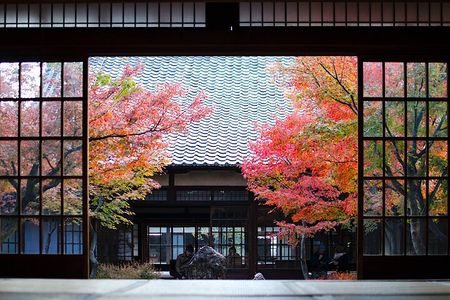 Kyoto Private Tour: One Day Highlights and Cultural Gems