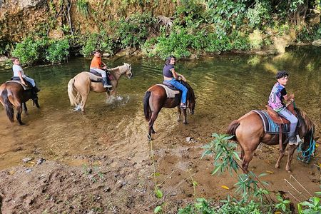 Jungle Horseback & Cave Tube Adventure