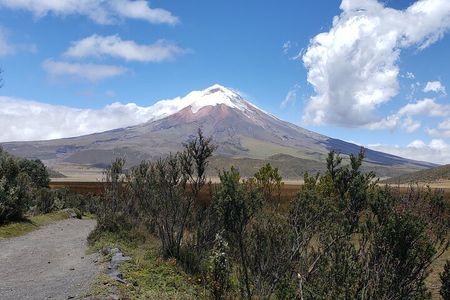 Cotopaxi Volcano Full-Day Tour from Quito