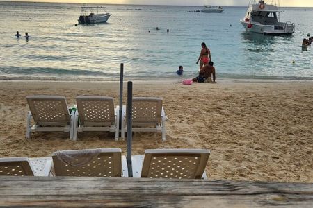 Monkey Sloth Chocolate Rum West Bay Beach with Pool Island Tour