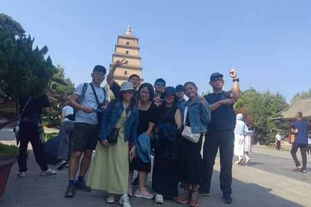 One Day Terracotta Army and Big Wild Goose Pagoda Private Tour