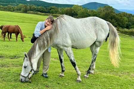 Pasture Hike with Horse Whisperer at Horse Trust in Kagoshima
