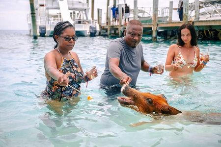Swimming Pigs Of Rose Island & Beach Day - Group Tour