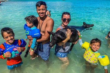 Private Rose Island Half Day Tour with Swimming Pigs and Turtles