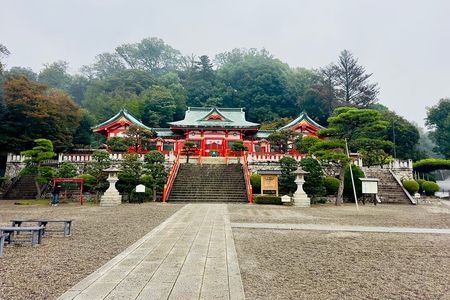 Ashikaga Flowers Park Pvt. One Day Tour with Pickup 