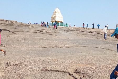 Best of Bengaluru All inclusive English Guided tour and Lunch