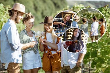 Queenstown Afternoon Wine Tour | Adults Only