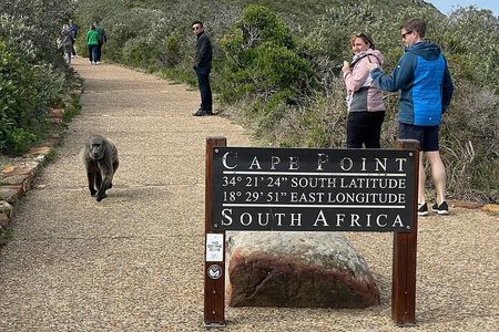 Full Day Cape Peninsula tour in private car 