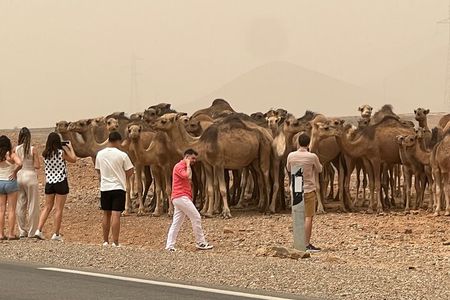 6 Days Tour To Imperial Morocco Cities & Sahara Desert