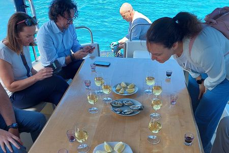 Dubrovnik Oyster Tasting Tour: Wine and Oysters on the Pelješac