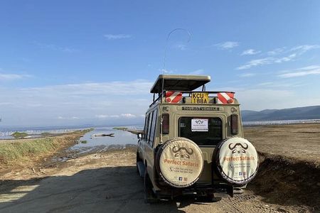7 Days Safari Masai Mara Nakuru and Amboseli in Upgraded hotels