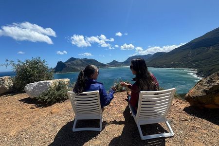 Private Tour: Cape Peninsula & Penguin Beach, Cape Point & more